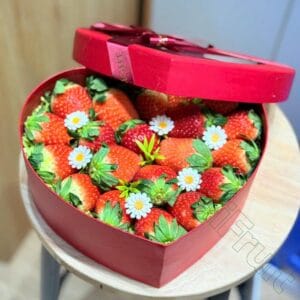 Hộp Dâu Tây HDT1